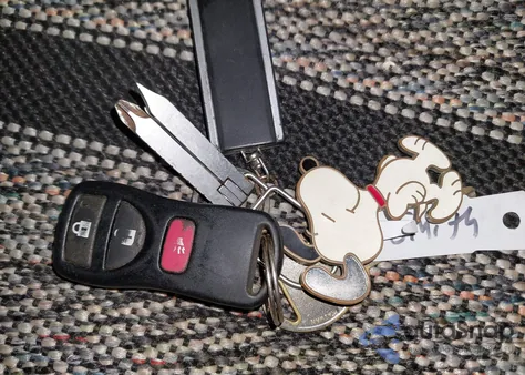 2008 Nissan Frontier Se из США, поврежденный, VIN 1N6AD06W98C445770